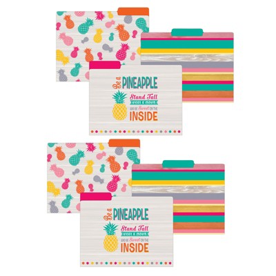 Teacher Created Resources® Tropical Punch File Folders, Letter Size, 12 Per Pack, 2 Packs