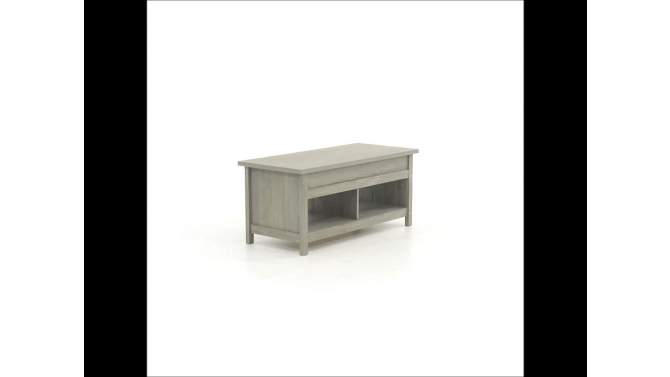 Cannery Bridge Lift Top Coffee Table - Sauder, 2 of 12, play video