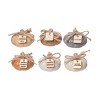 Transpac Terracotta 10.75 in. Multicolor Harvest Rustic Pumpkins with Tag In Display Set of 6 - 3 of 4