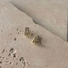 Adornia 14k Gold Plated CZ Ear Wrap Huggie Earrings - 4 of 4