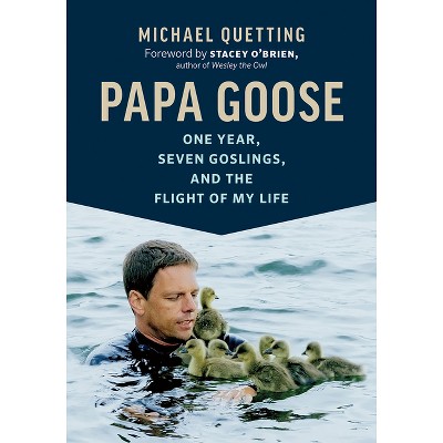 Papa Goose - by  Michael Quetting (Hardcover)