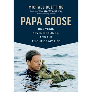 Papa Goose - by  Michael Quetting (Paperback) - 1 of 1