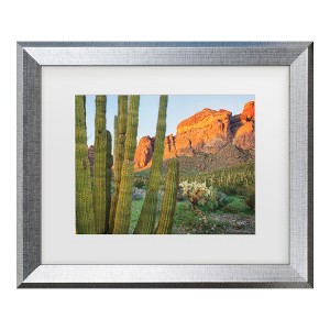 Trademark Fine Art - Alan Majchrowicz Organ Pipe Cactus National Monument Arizona Matted Framed Art - 1 of 4