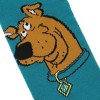Adult Scooby Doo Paw Prints Knee High Socks - 2 of 4