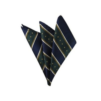 TheDapperTie - Men's Stripe Woven 10 Inch x 10 Inch Pocket Squares Handkerchief