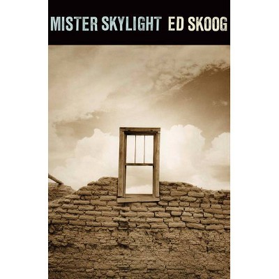 Mister Skylight - by  Ed Skoog (Paperback)