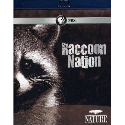 Nature: Raccoon Nation (Blu-ray)(2012)