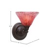 Toltec Lighting Any 1 - Light Sconce in  Dark Granite with 7" Raspberry Crystal Shade - 2 of 2