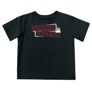 NCAA Montana Grizzlies Toddler Boys' 2pk Short Sleeve and Long Sleeve T-Shirts - 1 of 4