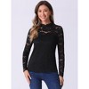 Allegra K Women's Semi Sheer Lace Long Sleeve Round Neck Work Casual Vintage Top - 4 of 4