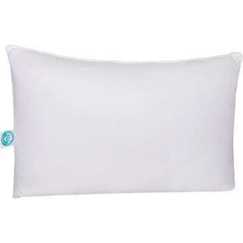 East Coast Bedding Cozy Dream Firm Goose Down Feather Pillow, Pack of 1