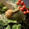 Sullivans Artificial Foraged Berry Pod Wreath 24"H; Green - 2 of 3