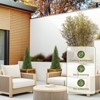 3/4 /5ft Artificial Cedar Tree, Home Decor Fake Cypress Potted Imitation Evergreen Plants for Indoor and Outdoor Front Porch Garden Decorative Fruit - 4 of 4