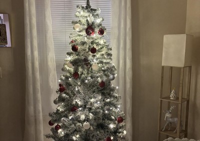 Guest review image 1 of 1, zoom in