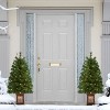 Puleo Set of 2 Artificial Battery-Operated Pre-Lit Brown Pot Potted Christmas Trees - 3 of 4