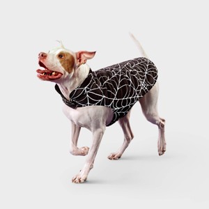 Reflective Spider Web Dog Vest - Boots & Barkley™ Black - 1 of 4