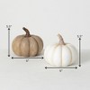 Sullivans Neutral Pumpkin Set of 2  5.5"H Brown - 3 of 3