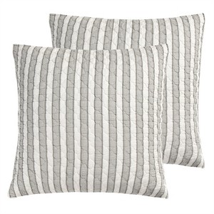 Tanzie Euro Sham - 2pk - Levtex Home - 1 of 3