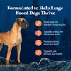 Blue Buffalo Wilderness High Protein Natural Large Breed Adult Dry Dog Food with Chicken Flavor - 24lbs - 4 of 4