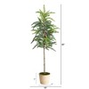 Nearly Natural 3.5-ft Winniepeg Artificial Pine Christmas Tree in Decorative Planter - 2 of 4
