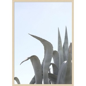 Amanti Art Charming Agave by Shot by Clint Wood Framed Wall Art Print - 1 of 4