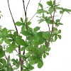 NicBex Artificial Tree in Pot  Realistic Disc Leaf Faux Plant with Bendable Branches, Calming Home Decor Floor Tree No Maintenance - 3 of 4