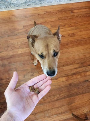 Guest review image 2 of 2, zoom in