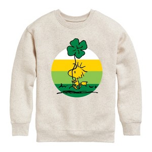 Boys' - Peanuts - Woodstock Shamrock Graphic Long Sleeve Fleece Sweatshirt - 1 of 4