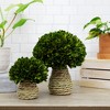 Pavilion Gift Company - 10" Mushroom - Preserved Boxwood Topiary - Artificial Plants - 3 of 4