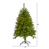 Nearly Natural 4-ft Sierra Spruce Natural Look Artificial Christmas Tree with 150 Clear LED Lights - 2 of 4