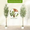 Whizmax Artificial Olive Trees, Tall Faux Plant White Planter, Fake Olive Trees with Natural Wood Trunk for Home Office Decor - 4 of 4