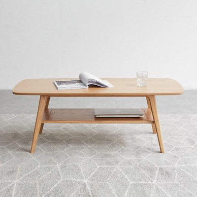 Damerin Low solid Wood Rectangle Coffee Side Table With Storable Shelf