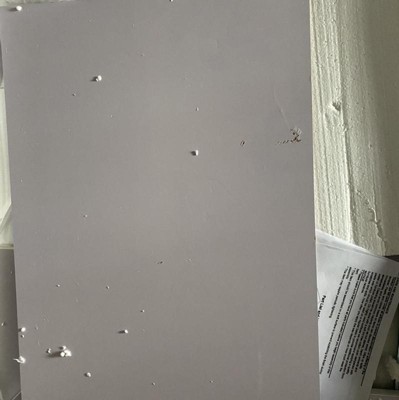 Guest review image 1 of 2, zoom in