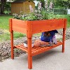 Sunnydaze Outdoor Raised Wooden Garden Bed with Lower Shelf for Plant Flowers, Herbs, Green Plants, and Vegetables - 42" - 4 of 4
