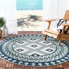 Veranda VER099 Power Loomed Indoor/Outdoor Area Rug  - Safavieh - 2 of 3