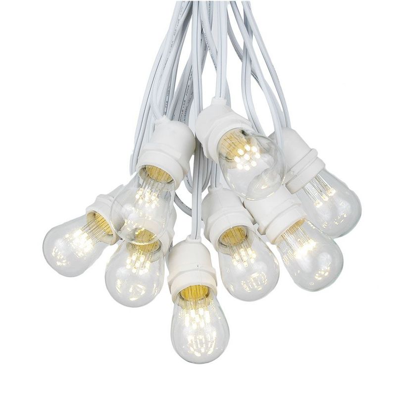 Novelty Lights Edison Outdoor String Lights with 50 In-Line Sockets White Wire 100 Feet, 1 of 7