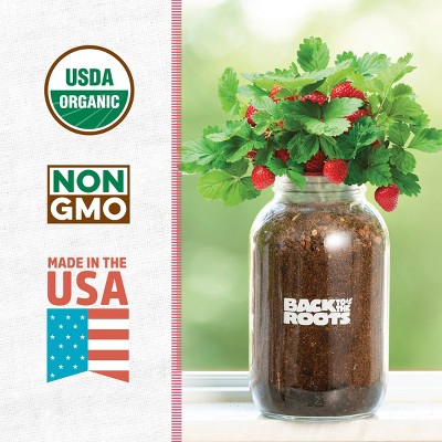 Organic Strawberry Indoor Grow Kit with Glass Mason Jar Planter