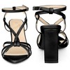 Perphy Pointed Toe Slingback Chunky Heel Sandals for Women - 2 of 4