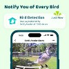 Birdfy Smart Bird Feeder with Camera, Bird Watching Camera with Solar Panel, AI Identify 6000+ Species - 3 of 4