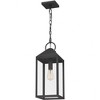 Quoizel Lighting Thorpe 1 - Light Pendant in  Mottled Black - 3 of 3