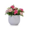 Chic Crate 3‑Piece Ceramic Flowerpot Set with Drainage – Modern Planters for Patio, Garden & Indoor Windowsills - 4 of 4