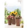 Evergreen Large Sussex Frost-Proof Resin Planter - 2 of 4