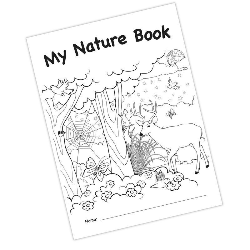 Teacher Created Resources® My Own Books: My Own Nature Book, 25 Pack, 3 of 4