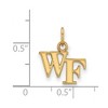 Black Bow Jewelry 14k Yellow Gold Plated Sterling Silver Wake Forest Demon Deacons NCAA Extra Small Pendant - 2 of 3