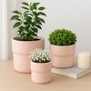 Stoneware Ceramic Planters - Modern Durable Design - Set of 3 - 3 of 4