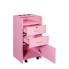 Lovmor Locking Beauty Salon Storage Cabinet Hair Dryer Holder Stylist Equipment Drawer - 3 of 4