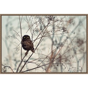 Amanti Art Look at Me by Emilian Avramescu Framed Canvas Wall Art - 1 of 4