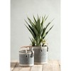 Assorted Set Of 2 Sierra Planter Baskets - Shiraleah - 2 of 2
