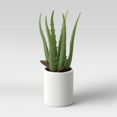 Photo 1 of 10 x 5 Artificial Aloe Plant Arrangement - Project 62