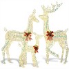 Joyfy 3 Packs Christmas Reindeer Family Set Yard Light Decorations with LED Lights and Stakes for Christmas Eve Night Indoor Outdoor Holiday Decor - 4 of 4
